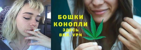 дмт Арсеньев